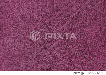 Structure of genuine leather, shiny pink leatherette surface with slightly grainy texture Structure of genuine leather, shiny pink leatherette surface with slightly grainy texture 120253293