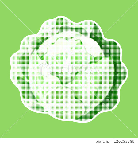Cabbage. Trendy halftone style retro texture. Vintage pop art style, modern collage element 120253389