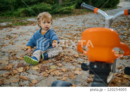Toddler sitting on autumn leaves beside a tricycle outdoors Toddler sitting on autumn leaves beside a tricycle outdoors 120254005