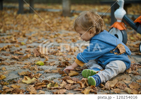 Little boy playing with autumn leaves in a park setting Little boy playing with autumn leaves in a park setting 120254016