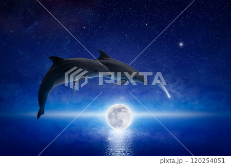 Two dolphins leap across glowing full moon that hovers low above serene sea. There are bright stars and comet in dark blue night sky. Two dolphins leap across glowing full moon that hovers low above serene sea. There are bright stars and comet in dark blue night sky. 120254051
