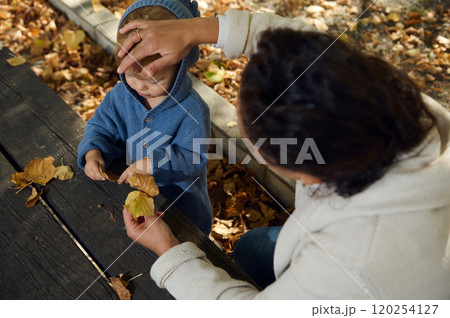 Mother and child enjoying autumn leaves together in park Mother and child enjoying autumn leaves together in park 120254127