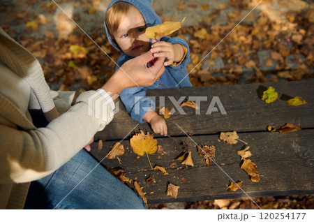Mother and child enjoying autumn leaves on a park bench Mother and child enjoying autumn leaves on a park bench 120254177