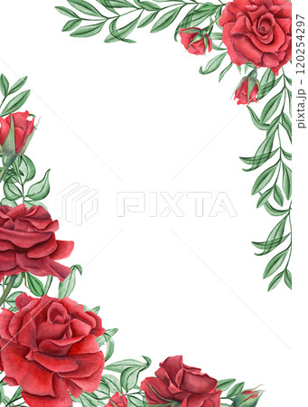 Red rose flowers, abstract leaves watercolor vertical rectangle frame. Summer garden blooming deep ruby roses with eucalyptus. Empty space for text. Template for invitations, greeting cards 120254297