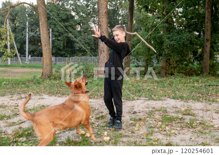 Young Boy Playing Fetch with Loyal Dog in Park 120254601