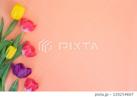 Colorful Tulips on a Soft Peach Background for Spring Celebrations Colorful Tulips on a Soft Peach Background for Spring Celebrations 120254607