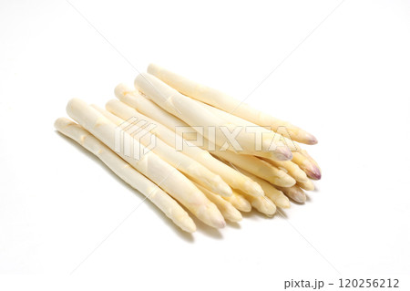 白背景のホワイトアスパラガス 120256212
