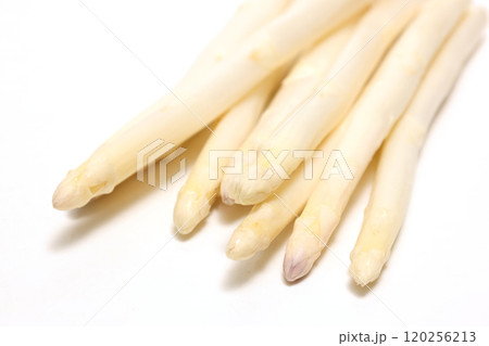 白背景のホワイトアスパラガス 120256213