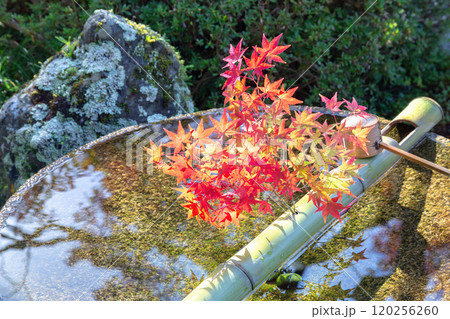 圓光寺の水琴窟 120256260