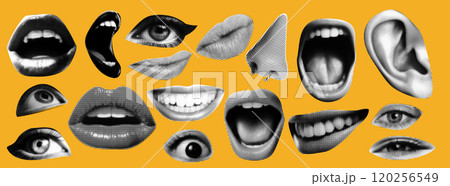 Grunge collection of Eye, Ear, Nose, and Mouth Collage Element with Halftone Texture on Bright Yellow Background. Punk and Y2K Style Magazine Paper Style 120256549