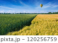 Hot air balloon flies over agricultural field 120256759