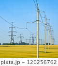 High-voltage power lines under blue sky in Ukraine 120256762