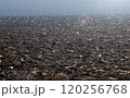 Fertile plowed black soil under sunlight 120256768