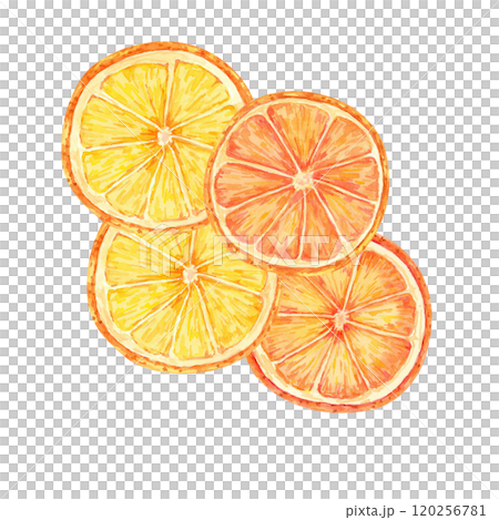 Slices of vibrant orange and yellow citrus fruit. Lemon, orange watercolor clipart for use in holiday cards, food packaging, or seasonal designs. Perfect for recipes, gift tags, and product labels. Slices of vibrant orange and yellow citrus fruit. Lemon, orange watercolor clipart for use in holiday cards, food packaging, or seasonal designs. Perfect for recipes, gift tags, and product labels. 120256781