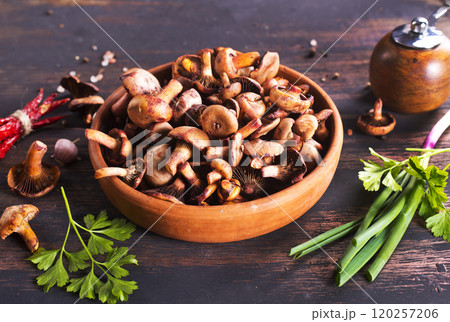 edible mushroom in bowl on a table 120257206