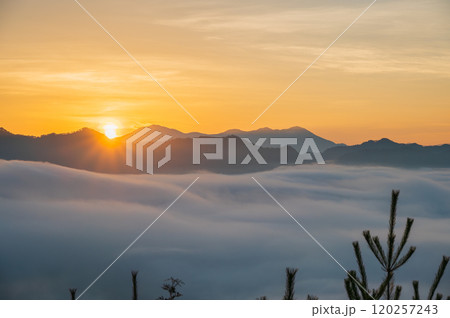 日の出と雲海【北安曇郡池田町広津】 120257243