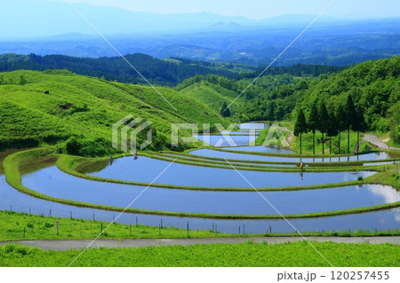 初夏の扇田(熊本県産山村) 初夏の扇田(熊本県産山村) 120257455