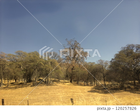 Tuolumne Meadows in Yosemite National Park California USA Photo 120257826