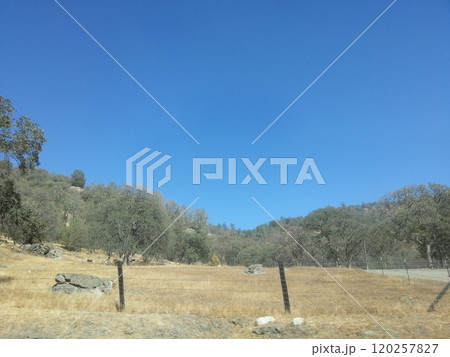Tuolumne Meadows in Yosemite National Park California USA Photo Tuolumne Meadows in Yosemite National Park California USA Photo 120257827