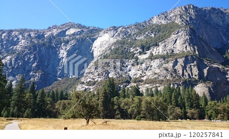 Tuolumne Meadows in Yosemite National Park California USA Photo Tuolumne Meadows in Yosemite National Park California USA Photo 120257841