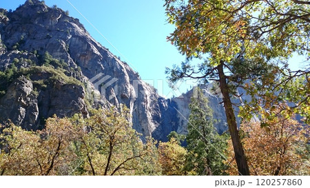 El Capitan in the Tuolumne Meadows in Yosemite National Park California USA Photo 120257860