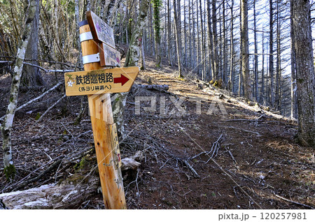 道志山塊の奥ノ岳　御正体山南尾根の鉄塔巡視路　外ヨリ林道の分岐 120257981