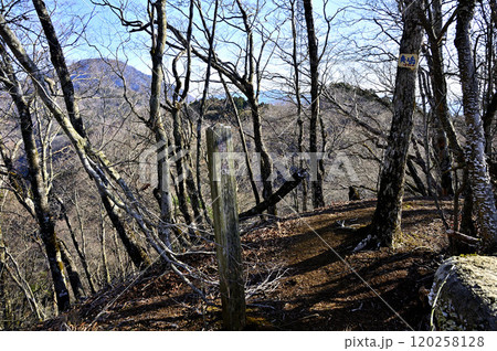道志山塊の奥ノ岳山頂　御正体山南尾根の頂 120258128