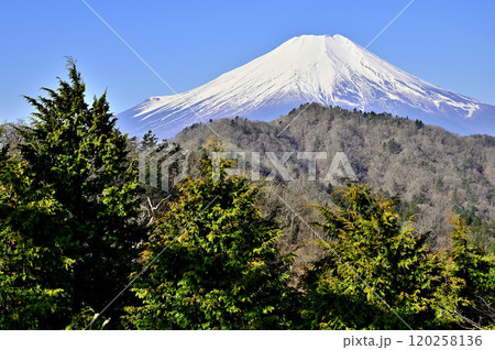 道志山塊の奥ノ岳 送電鉄塔からの富士山の展望 道志山塊の奥ノ岳 送電鉄塔からの富士山の展望 120258136