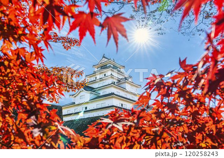 晩秋の鶴ヶ城（会津若松城）と真っ赤なもみじ　福島県会津若松市 120258243