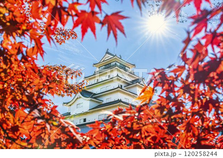 晩秋の鶴ヶ城（会津若松城）と真っ赤なもみじ　福島県会津若松市 120258244