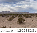 Photo of McCullough Range in Nevada USA 120258281