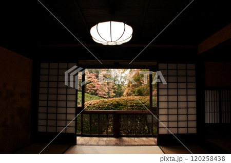 どうだん亭 古民家 室内 紅葉 1 どうだん亭 古民家 室内 紅葉 1 120258438