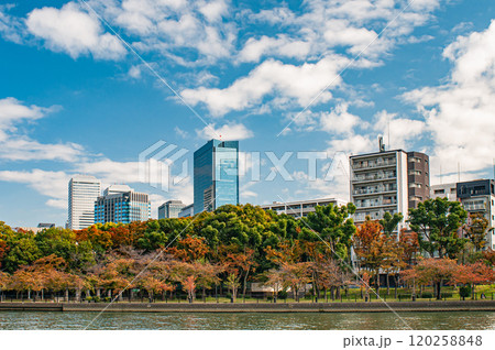 毛馬桜之宮公園越しのOBP風景 大阪市 毛馬桜之宮公園越しのOBP風景 大阪市 120258848