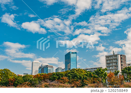 毛馬桜之宮公園越しのOBP風景 大阪市 毛馬桜之宮公園越しのOBP風景 大阪市 120258849