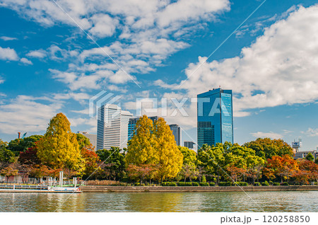毛馬桜之宮公園越しのOBP風景 大阪市 毛馬桜之宮公園越しのOBP風景 大阪市 120258850