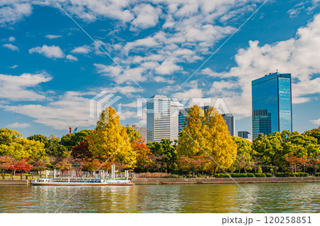 毛馬桜之宮公園越しのOBP風景　大阪市 120258851