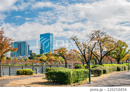 毛馬桜之宮公園越しのOBP風景　大阪市 120258856