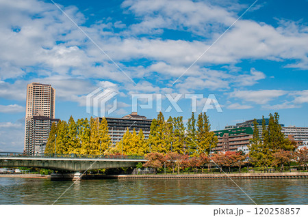 秋の毛馬桜之宮公園風景 大阪市 秋の毛馬桜之宮公園風景 大阪市 120258857