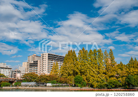 秋の毛馬桜之宮公園風景　大阪市 120258860