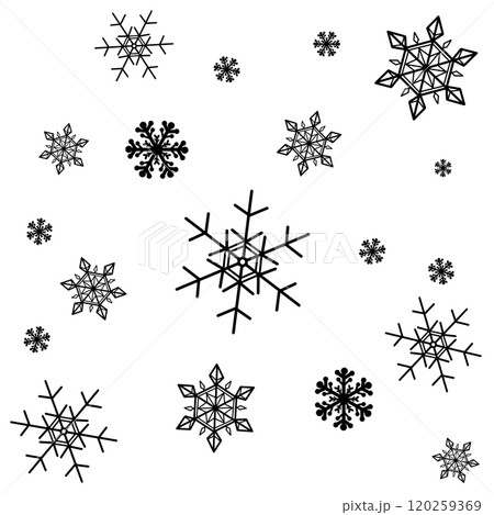 黒のたくさんの雪 黒のたくさんの雪 120259369