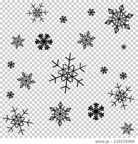 黒のたくさんの雪 黒のたくさんの雪 120259369