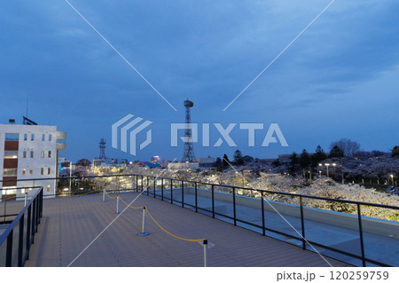 十和田市役所展望テラスから見る満開の夜桜(青森県十和田市) 十和田市役所展望テラスから見る満開の夜桜(青森県十和田市) 120259759