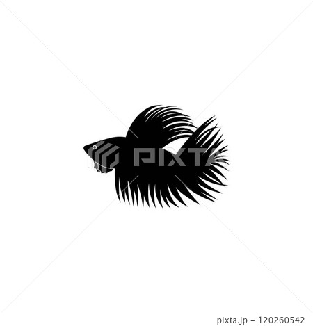 Betta fish vector silhouette 120260542