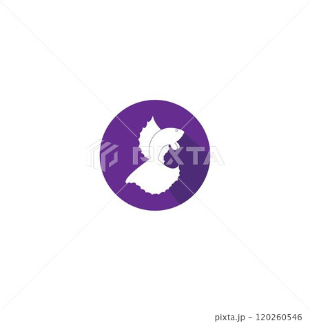 beautiful betta fish vector 120260546