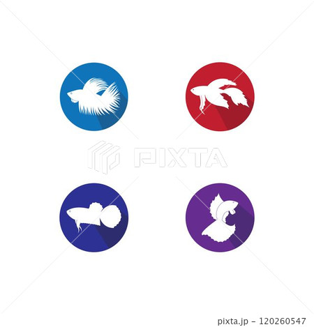 beautiful betta fish vector 120260547