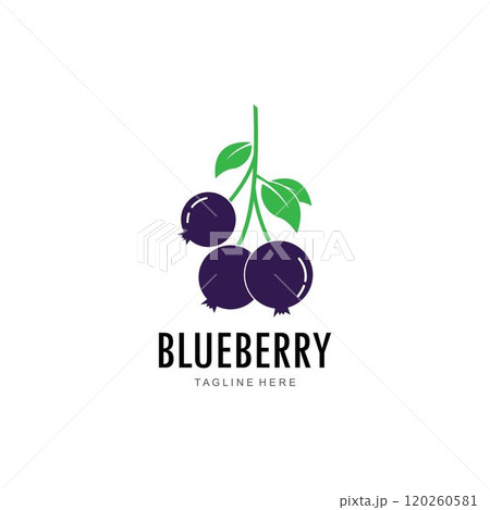 Blueberry logo vector template Blueberry logo vector template 120260581