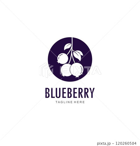 Blueberry logo vector template Blueberry logo vector template 120260584
