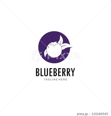 Blueberry logo vector template 120260585