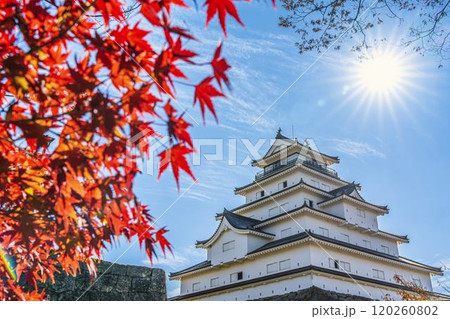 晩秋の鶴ヶ城（会津若松城）ともみじ　福島県会津若松市 120260802