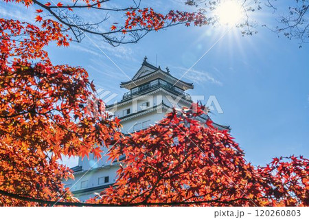 晩秋の鶴ヶ城（会津若松城）ともみじ　福島県会津若松市 120260803